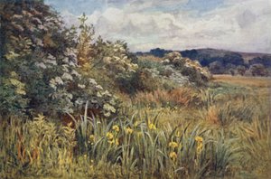 Amikor a dicsőség megkoronázza a mézet